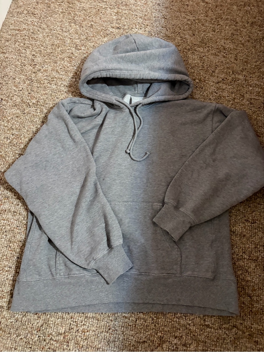 Grey Aritzia hoodie